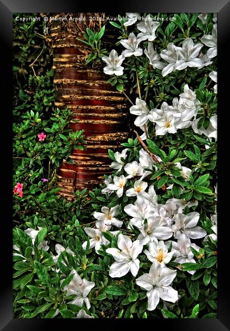Spring Botanic Garden Flowers Framed Print by Martyn Arnold