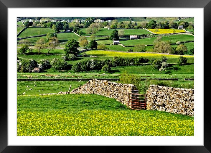 Yorkshire Dales Countryside Framed Mounted Print by Martyn Arnold