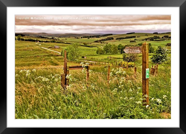 Northumberland Landscape Framed Mounted Print by Martyn Arnold