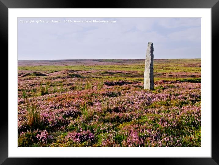 Heather Grouse Moorland in Nidderdale Framed Mounted Print by Martyn Arnold