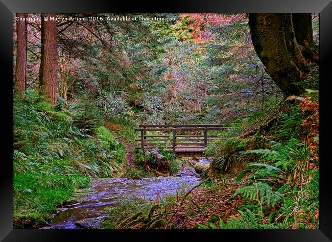 Bridge over the Woodland Stream Framed Print by Martyn Arnold