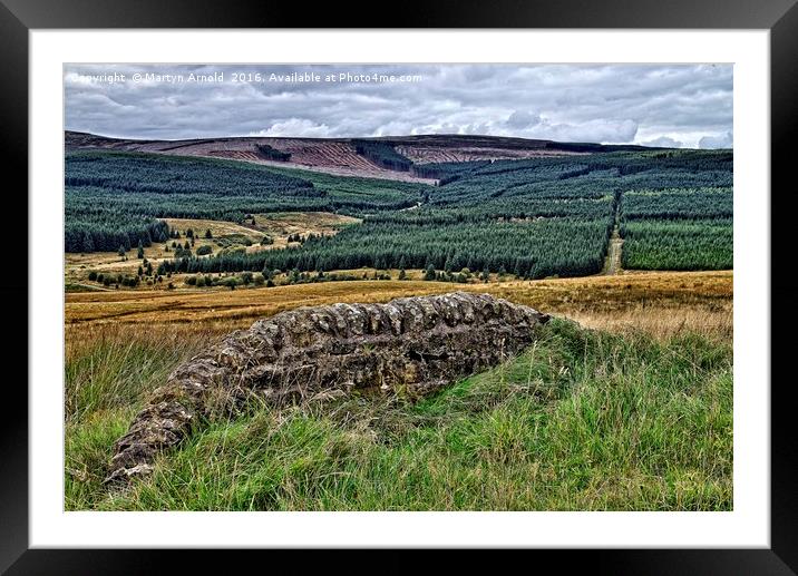 Kielder Forest Northumberland Framed Mounted Print by Martyn Arnold