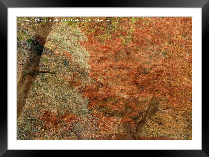 Textured Autumn Trees Framed Mounted Print by Martyn Arnold