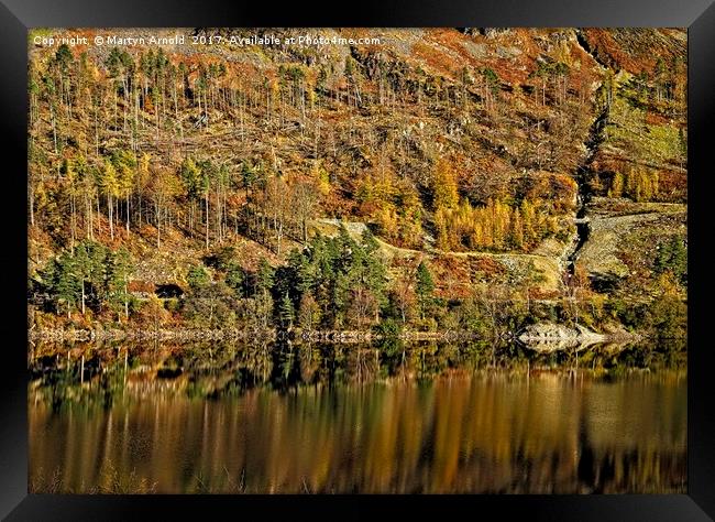 Autumn Tree Reflections Framed Print by Martyn Arnold