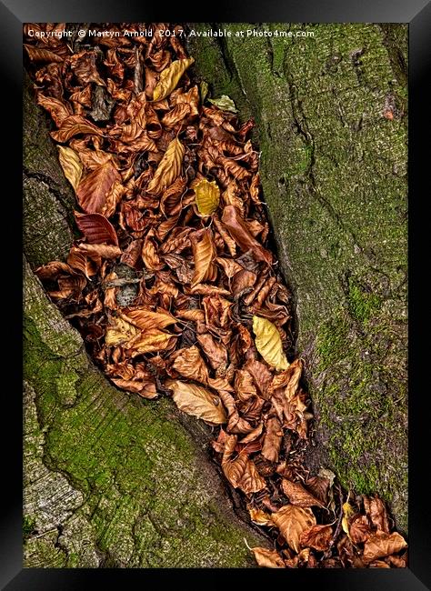 Autumn Leaves Framed Print by Martyn Arnold