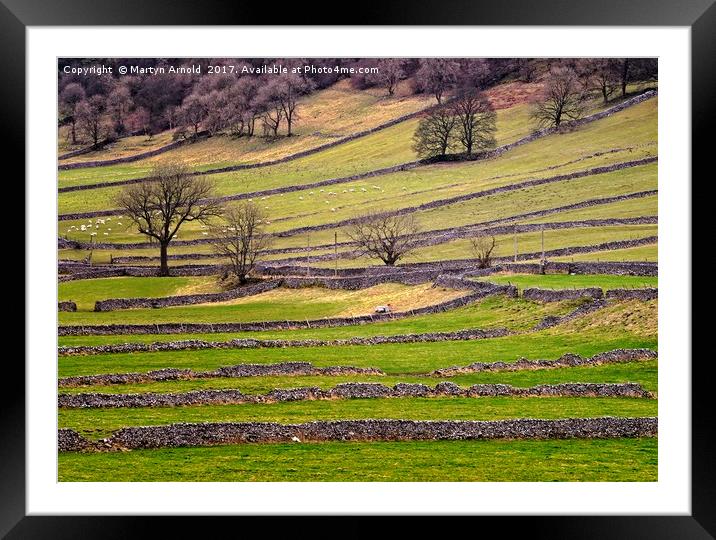 Yorkshire Dales Stone Walls Framed Mounted Print by Martyn Arnold
