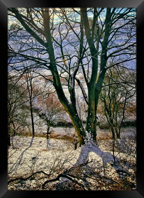 Winter Trees Framed Print by Martyn Arnold