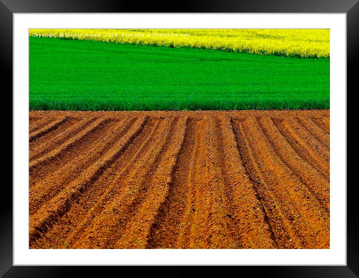 Crops Framed Mounted Print by Martyn Arnold