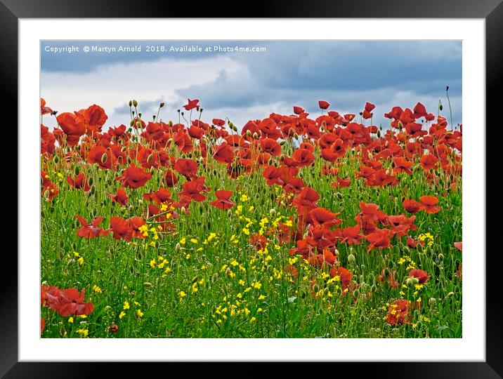 Painterly Poppies Framed Mounted Print by Martyn Arnold