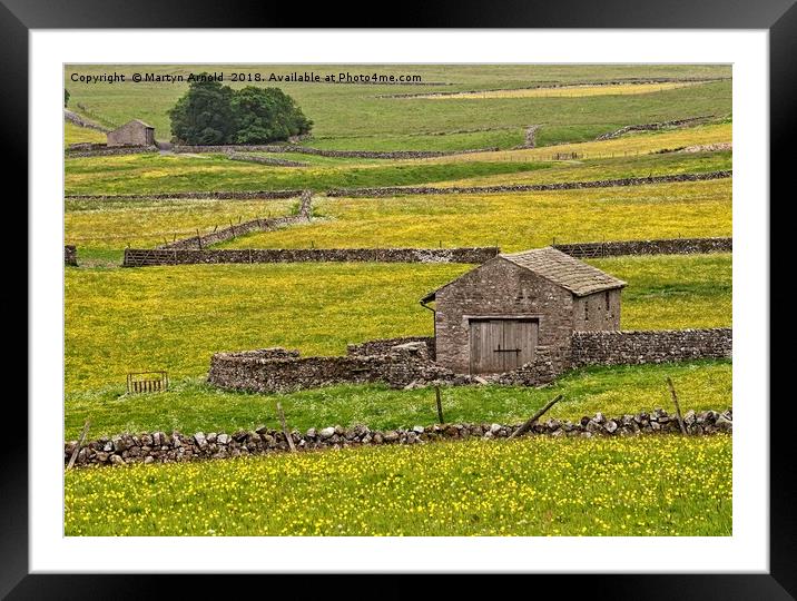 Buttercup Meadows near Malham Framed Mounted Print by Martyn Arnold