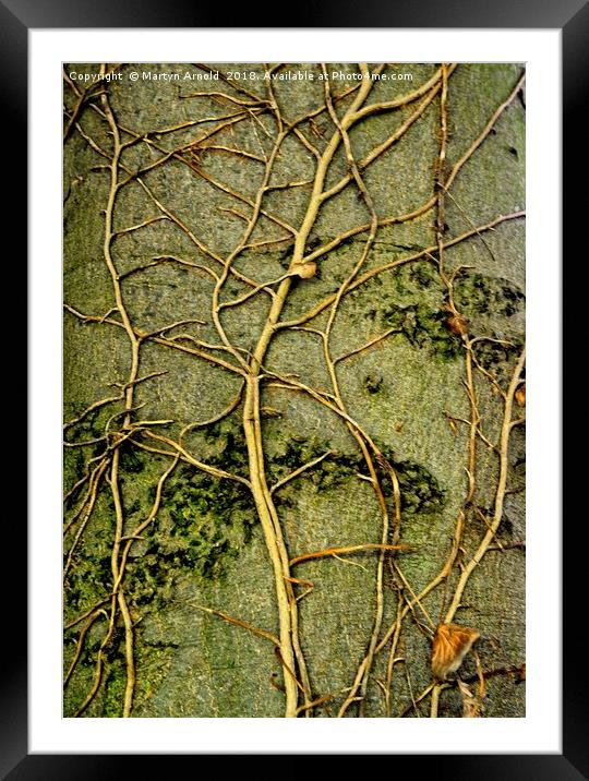 Tree Art Framed Mounted Print by Martyn Arnold