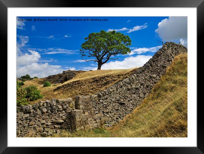 Lone Moorland Tree Framed Mounted Print by Martyn Arnold