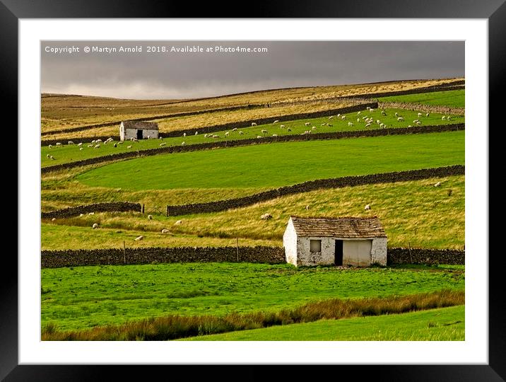 Stone Barns in the Teesdale Landscape Framed Mounted Print by Martyn Arnold