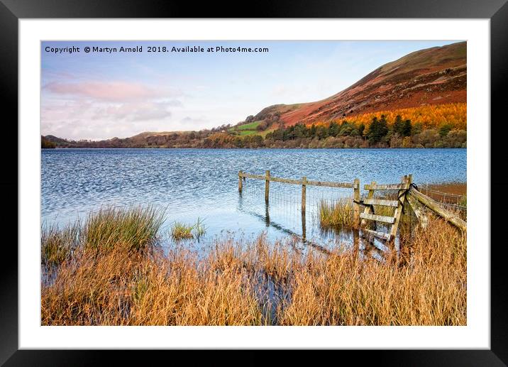 Loweswater in Autumn Framed Mounted Print by Martyn Arnold