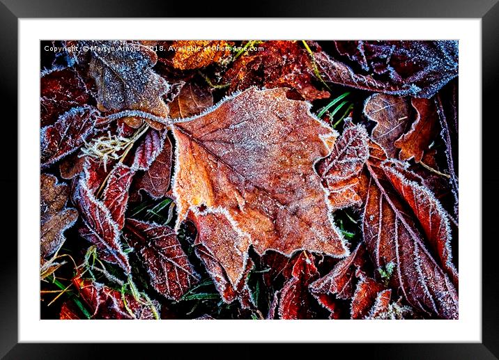 Frosty Leaves Framed Mounted Print by Martyn Arnold