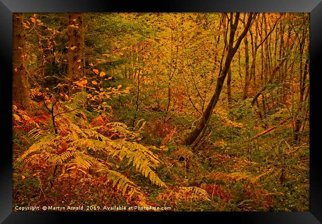 Autumn Woodland Colours Framed Print by Martyn Arnold