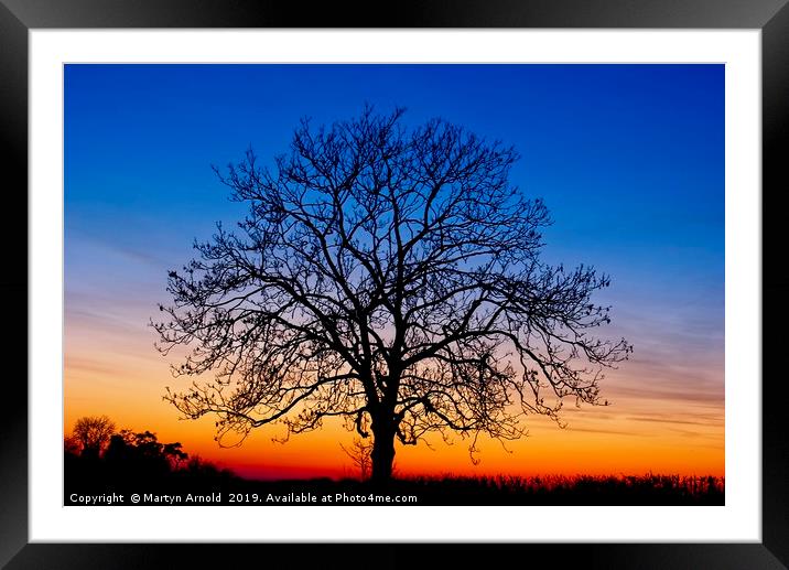 Sunset Tree Framed Mounted Print by Martyn Arnold