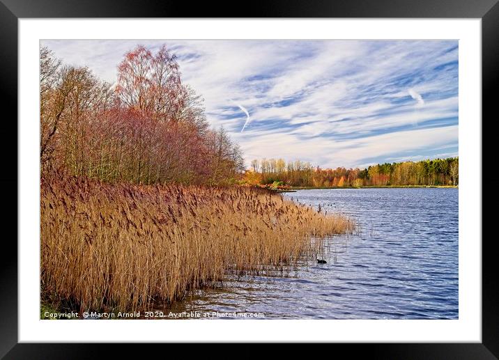 Lakeside in Winter Framed Mounted Print by Martyn Arnold