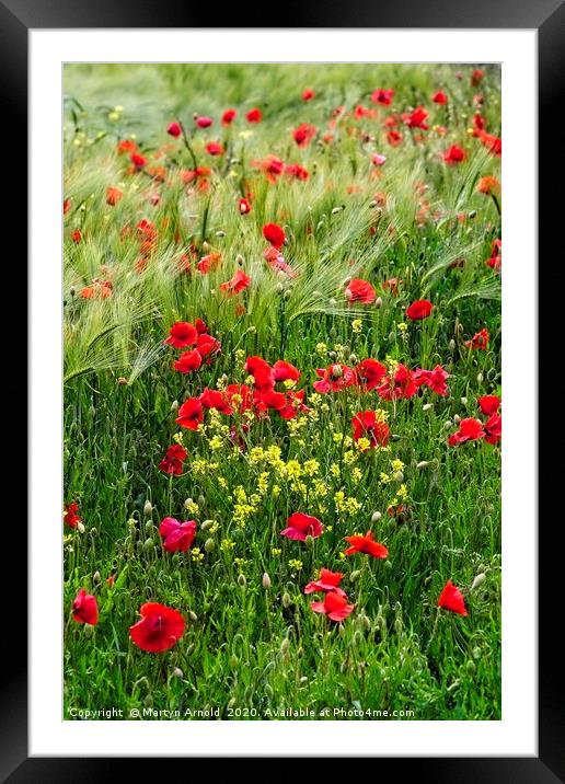 Poppyfield Portrait Framed Mounted Print by Martyn Arnold