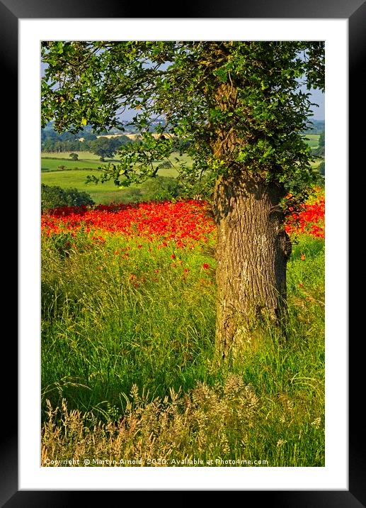 Poppy Landcape in County Durham Framed Mounted Print by Martyn Arnold
