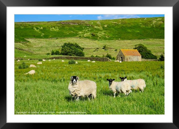 Yorkshire Moorland Summer Framed Mounted Print by Martyn Arnold