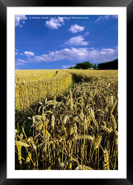 Amongst the Wheatfields Framed Mounted Print by Martyn Arnold