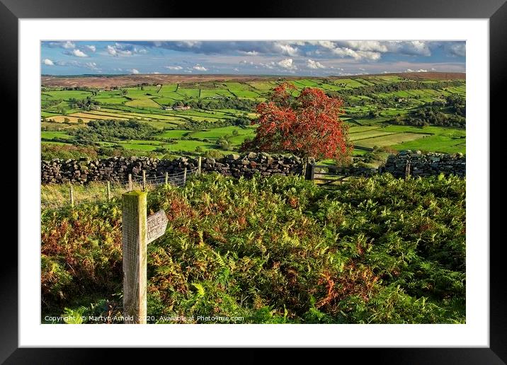 Footpath to Glaisdale, North York Moors Framed Mounted Print by Martyn Arnold