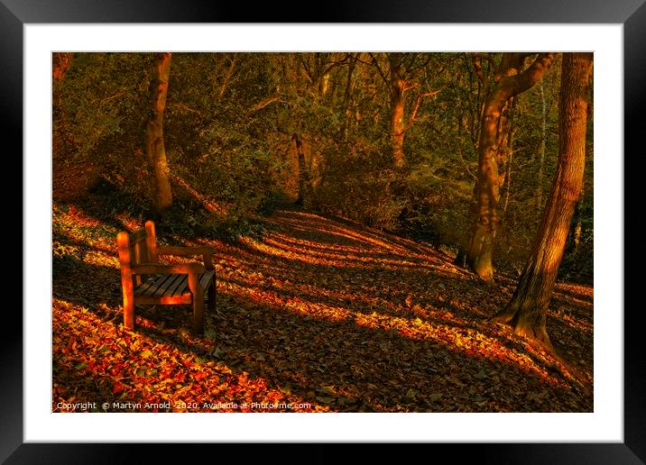 An Autumn Woodland Walk Framed Mounted Print by Martyn Arnold