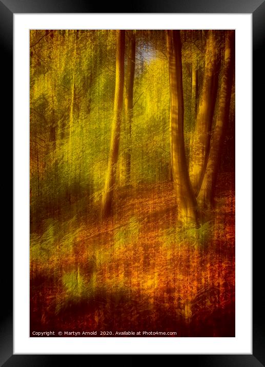 Autumn Woodland Framed Mounted Print by Martyn Arnold