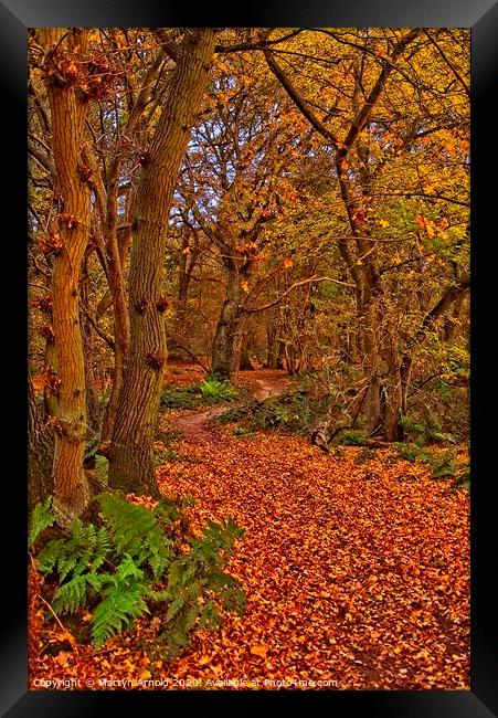 Autumn Wood Framed Print by Martyn Arnold