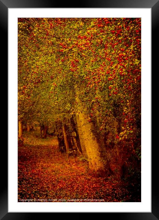 Artistic Autumn Woodland Framed Mounted Print by Martyn Arnold