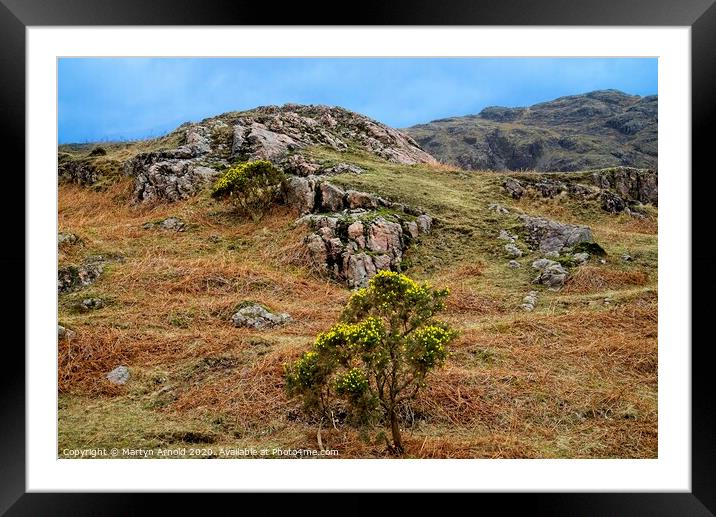 Lakeland Colours Framed Mounted Print by Martyn Arnold