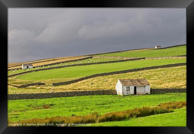 Teesdale Landscapes Framed Print by Martyn Arnold