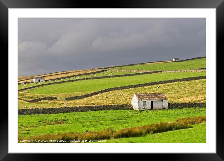 Teesdale Landscapes Framed Mounted Print by Martyn Arnold