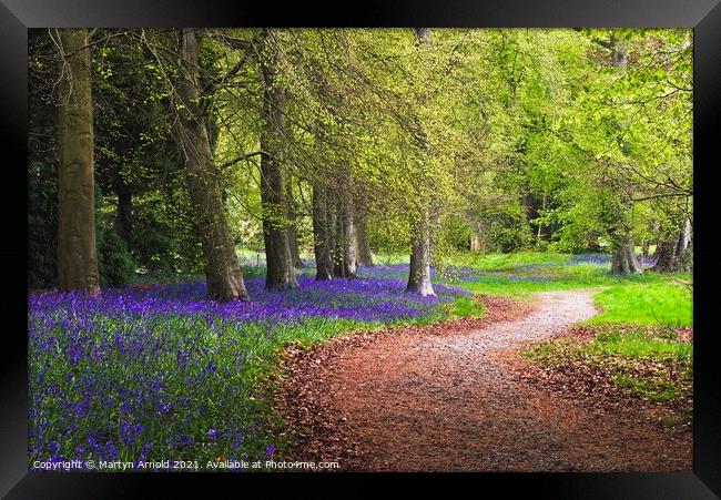 A Walk in the Spring Bluebell Wood Framed Print by Martyn Arnold