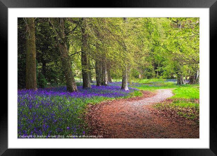 A Walk in the Spring Bluebell Wood Framed Mounted Print by Martyn Arnold
