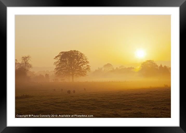 Misty Sunrise Framed Mounted Print by Paula Connelly