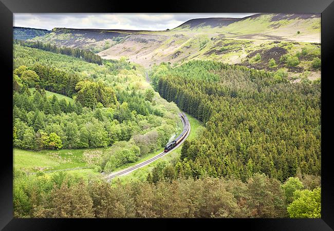 North York Moors Railway Framed Print by Paula Connelly