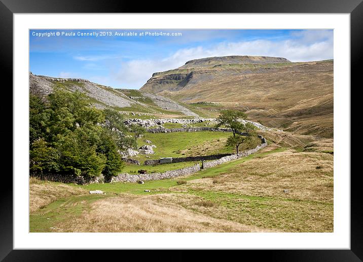 Ingleborough in the Yorkshire Dales Framed Mounted Print by Paula Connelly