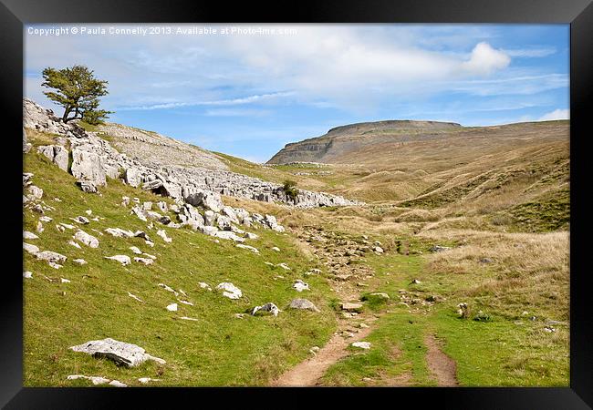 Ingleborough in the Yorkshire Dales Framed Print by Paula Connelly