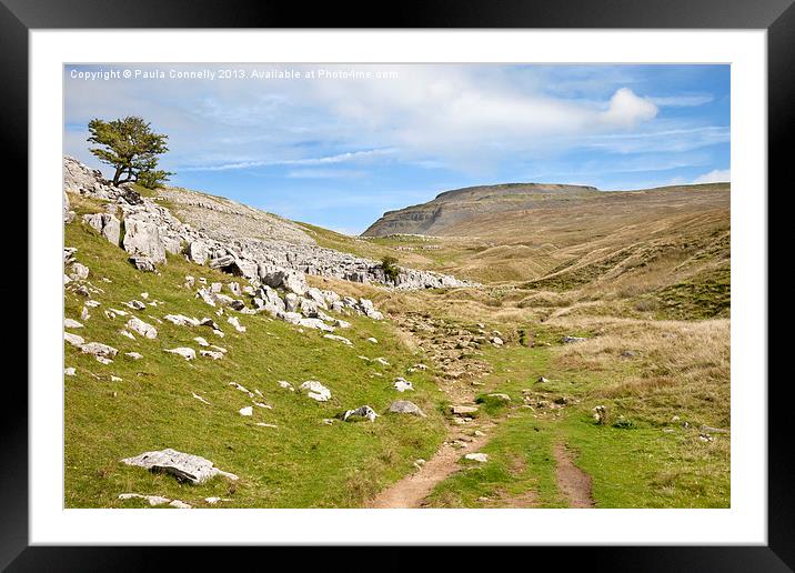 Ingleborough in the Yorkshire Dales Framed Mounted Print by Paula Connelly