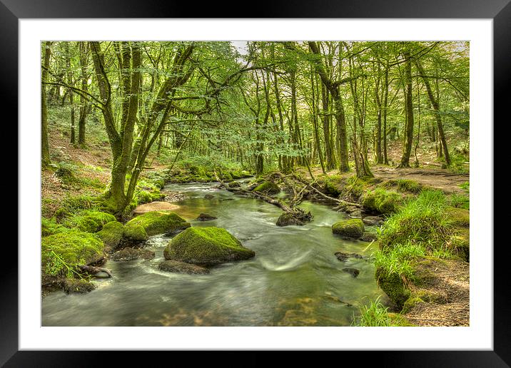 Woodland Stream Framed Mounted Print by Paula Connelly