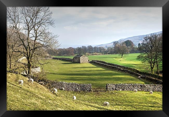Yorkshire Dales Landscape Framed Print by Paula Connelly