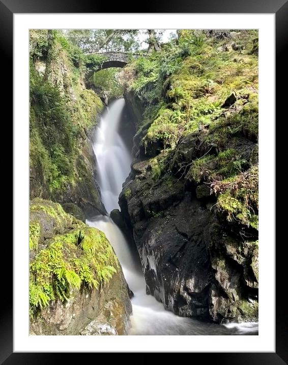 Aira Force Framed Mounted Print by Paula Connelly