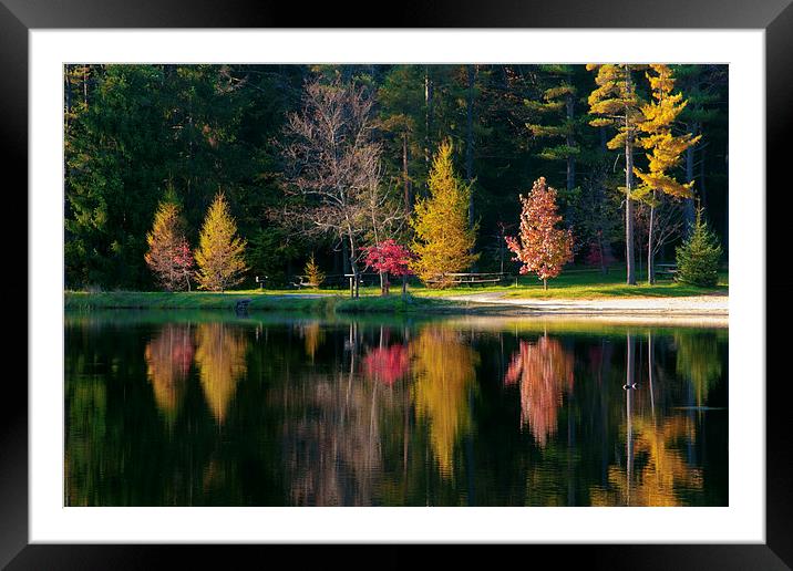 Autumn Reflection Framed Mounted Print by Scott Hubert