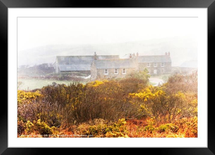 Cornish Farmhouse in Gorse Framed Mounted Print by Jean Gill