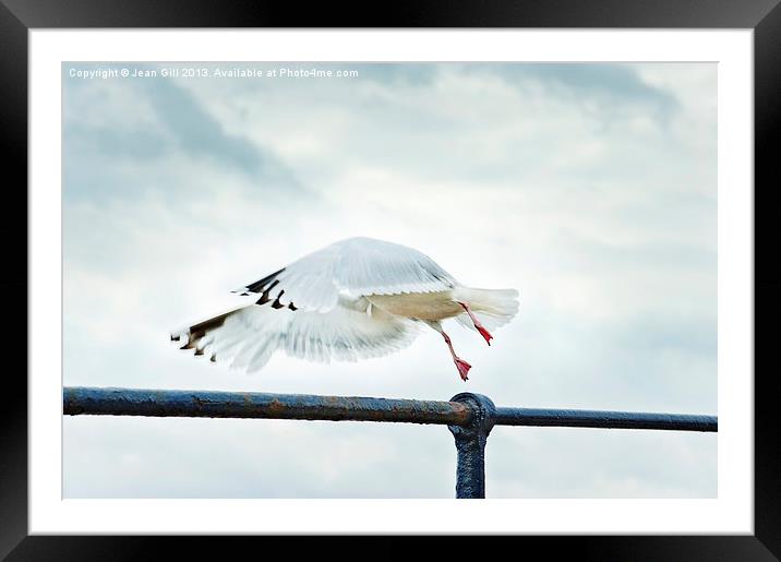 Freedom in Flight Framed Mounted Print by Jean Gill