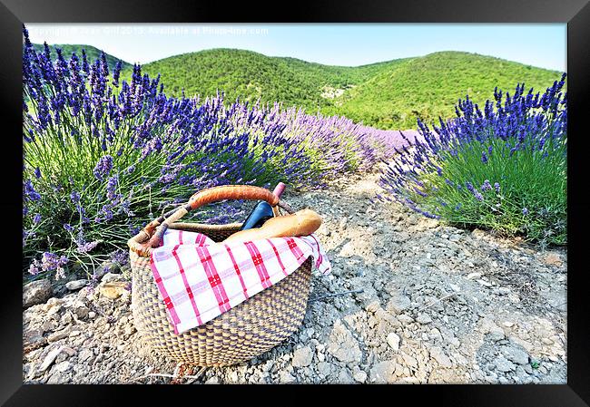 Picnic and French lavender Framed Print by Jean Gill