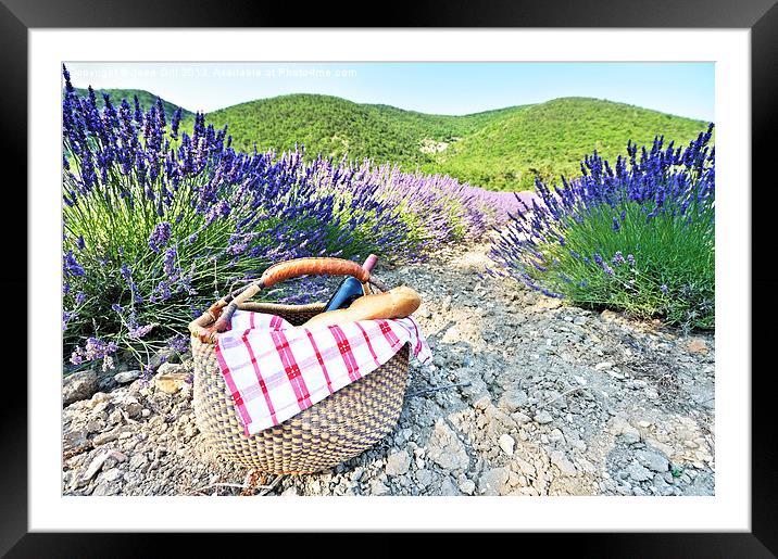 Picnic and French lavender Framed Mounted Print by Jean Gill