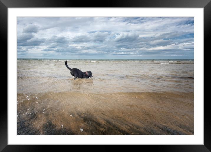 Live for the moment Framed Mounted Print by Jean Gill